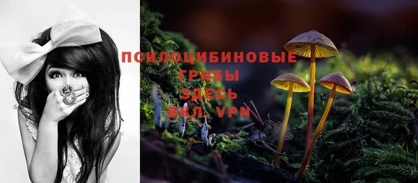 соль курить ск Белокуриха