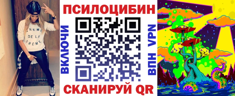 даркнет формула  Бугульма  Псилоцибиновые грибы Psilocybe 